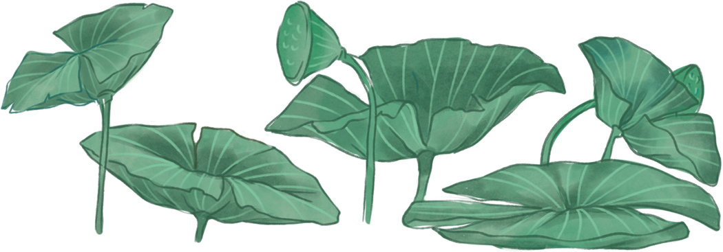 Decorative Traditional Painting Elements Lotus Leaves